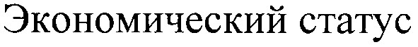 экономический статус