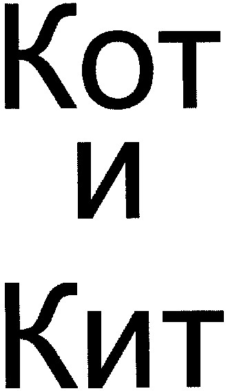 кот и кит