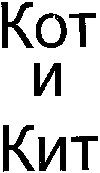 кот и кит