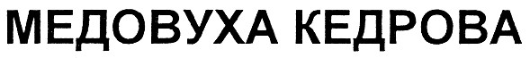медовуха кедрова