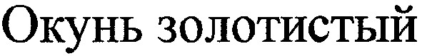 окунь золотистый