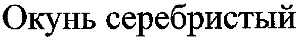 окунь серебристый