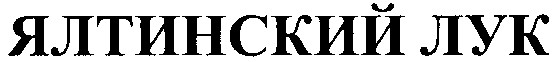 ялтинский лук