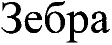 зебра