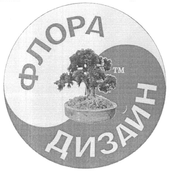 дизайн