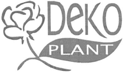 plant