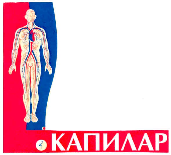 капилар