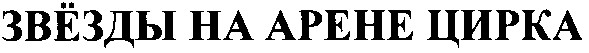 звёзды на арене цирка