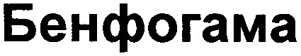 бенфогама