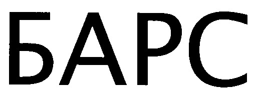 барс