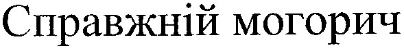 справжній могорич