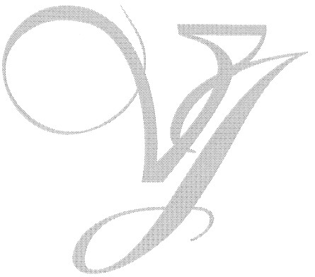 vj