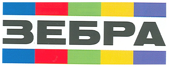 зебра