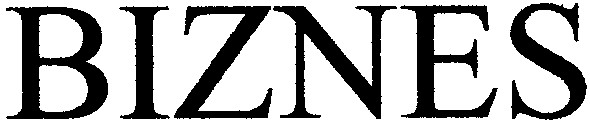 biznes