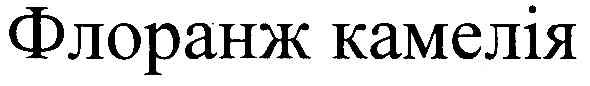 флоранж камелія
