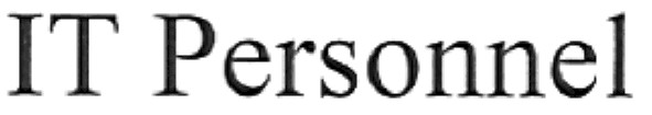 it personnel