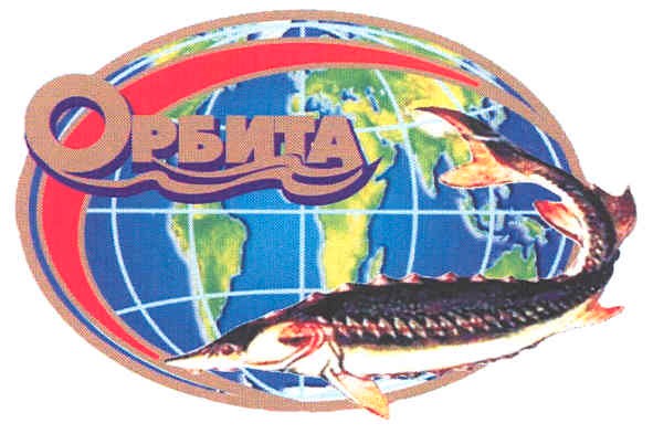 орбита