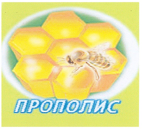 прополис