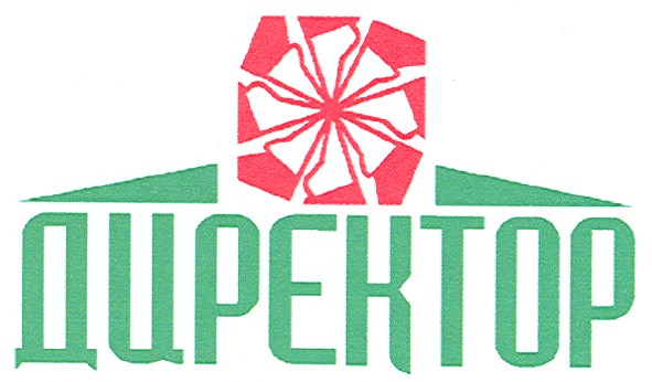 директор