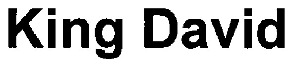 king david