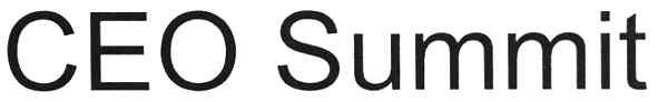 ceo summit