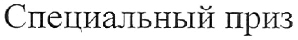 специальный приз