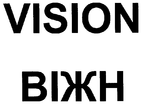 vision