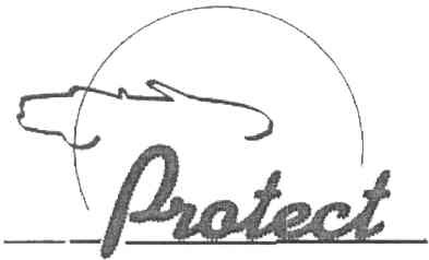 protect