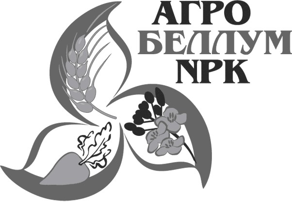 беллум