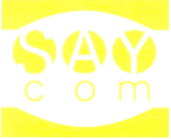 say