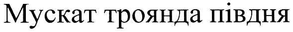 мускат троянда півдня
