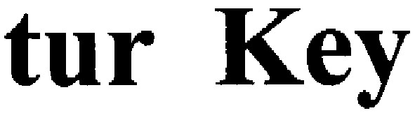 tur key