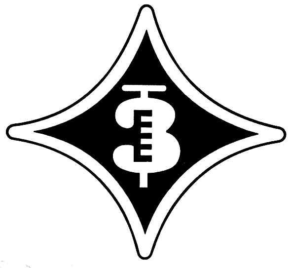3t
