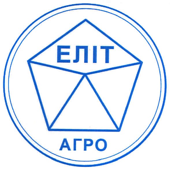 еліт