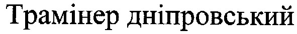 трамінер дніпровський