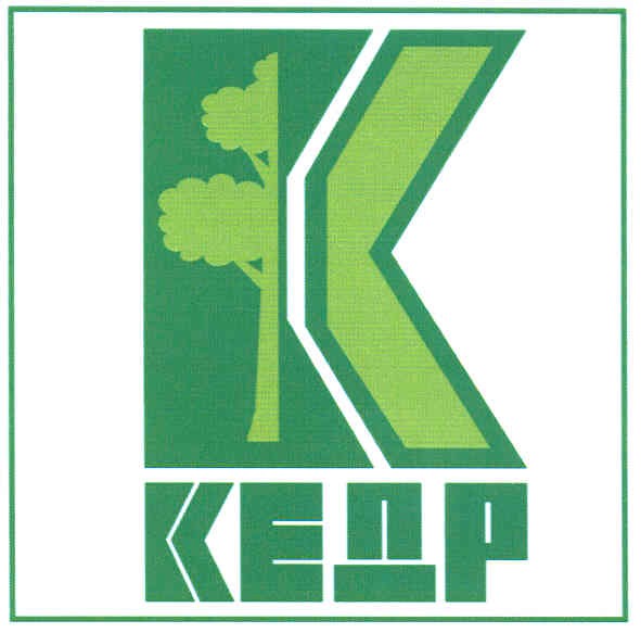 кедр