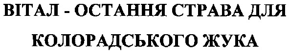 вітал-остання страва колорадського жука