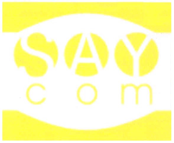 say