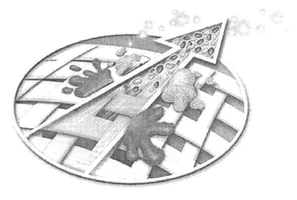 Фігуративна марка № 95166
