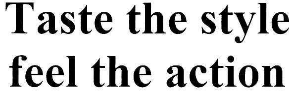 taste the style feel the action