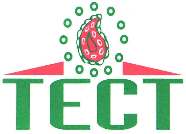 тест