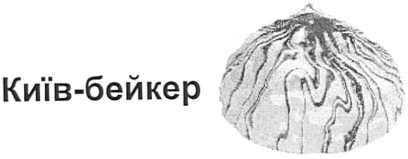 київ-бейкер