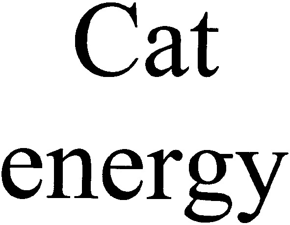 cat energy