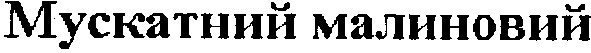 мускатний малиновий