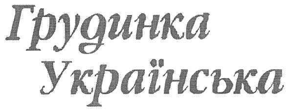 грудинка українська