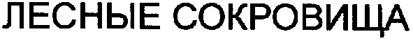 лесные сокровища