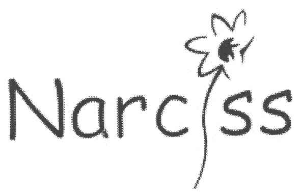 narciss