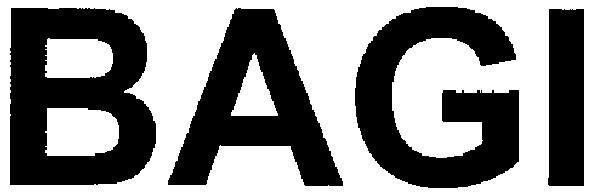 bagi
