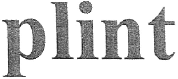 plint