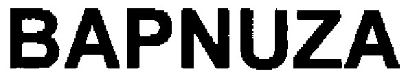bapnuza